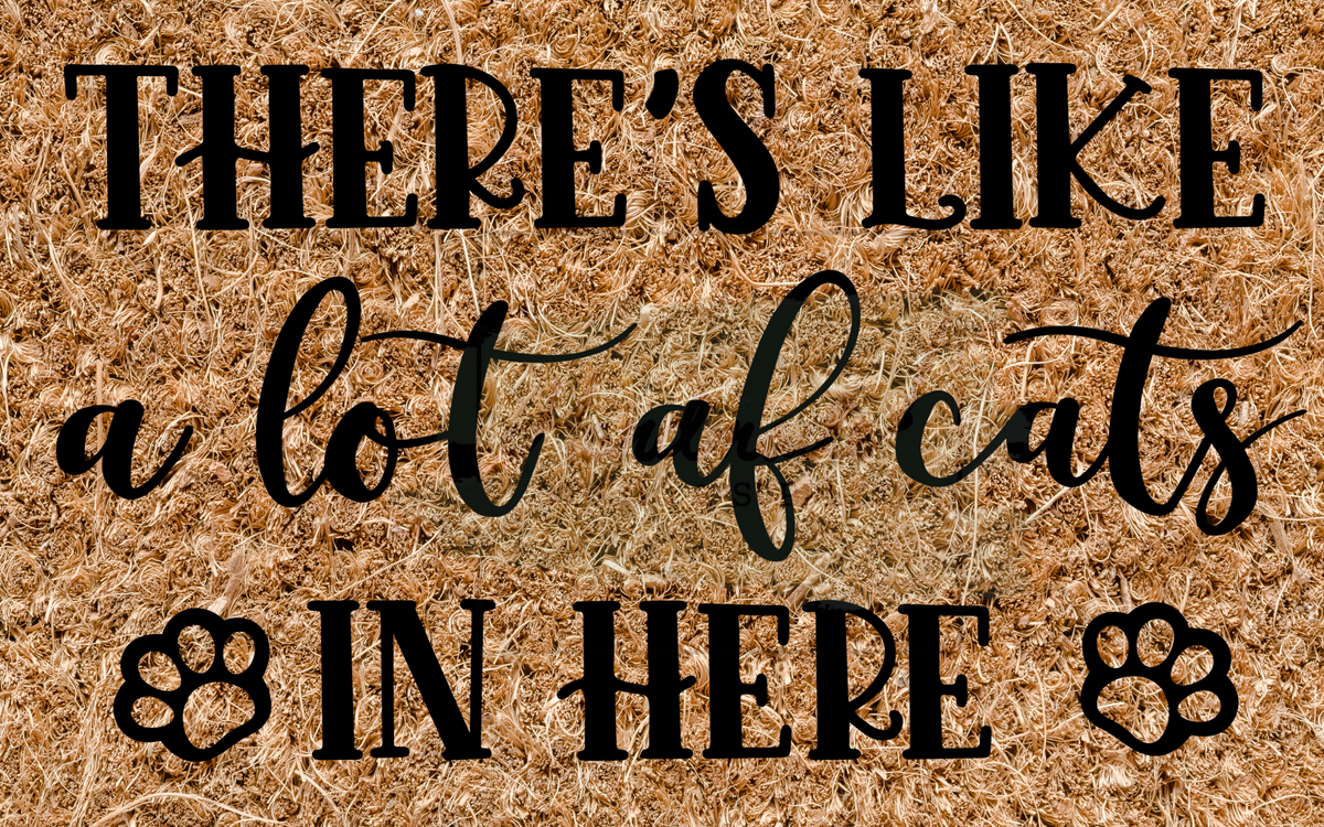 There's like a lot of cats in here